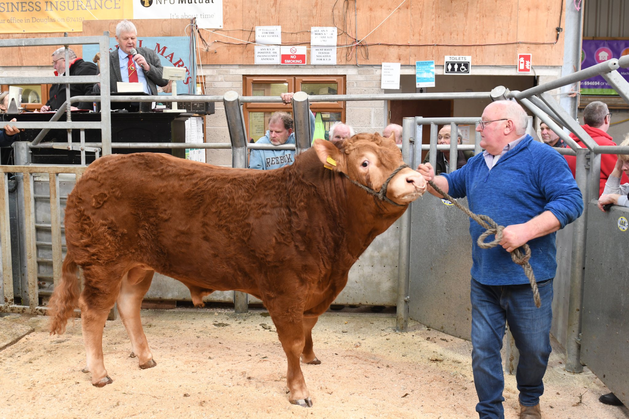 Manx NFU, in conjunction with Central Marts and One World Centre, holds a fundraising Mart for Ukrainian refugees. The highlight was the sale of an 18-month-old Limousin Bull which raised £3,500