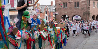 Ross-on-Wye Carnival seeks help to return to former glory