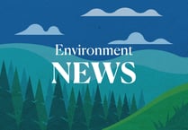 Call to designate beaches as safe