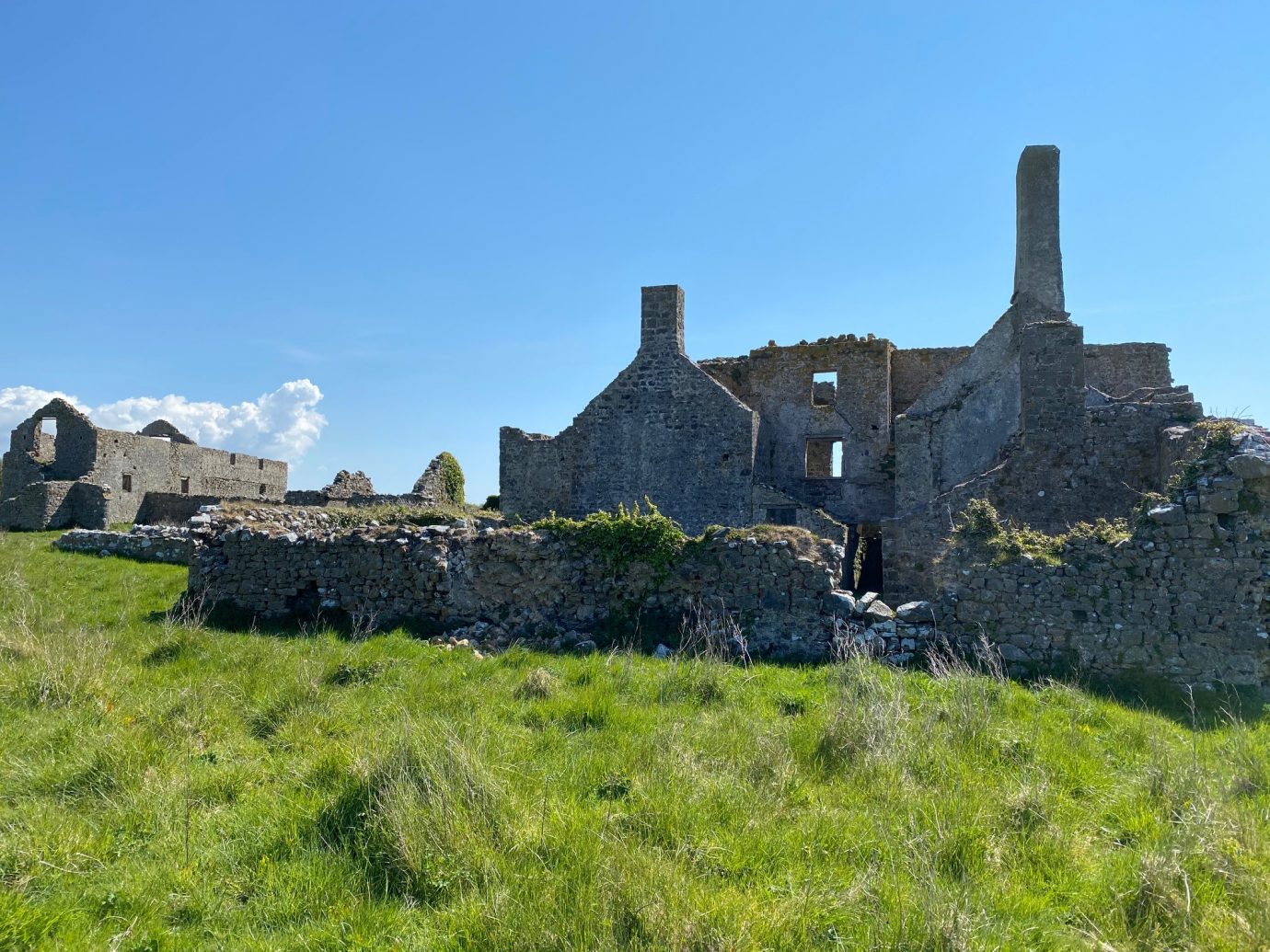 Discover the hidden gems of the Castlemartin Range with a full-day guided walk on foot on April 17.