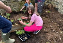 Sticklepath children get digging for brand new church garden