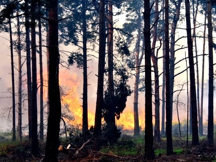 The blaze at Ash Ranges is believed to be the first major wildfire of 2022 on Surrey and Hampshire’s commons