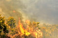 Smoke from Ash Ranges wildfire billows across Farnham and Alton area