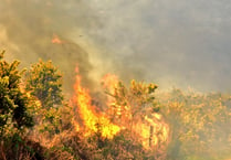 Smoke from Ash Ranges wildfire billows across Farnham and Alton area