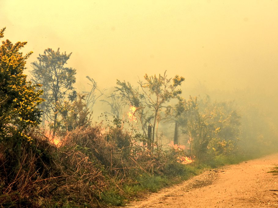 The blaze at Ash Ranges is believed to be the first major wildfire of 2022 on Surrey and Hampshire’s commons