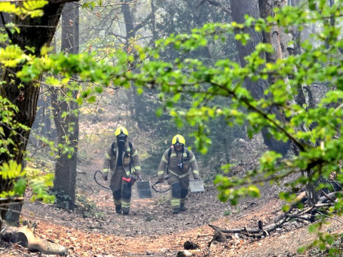 The blaze at Ash Ranges is believed to be the first major wildfire of 2022 on Surrey and Hampshire’s commons
