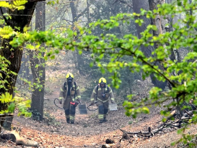 The blaze at Ash Ranges is believed to be the first major wildfire of 2022 on Surrey and Hampshire’s commons