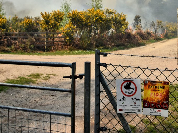 The blaze at Ash Ranges is believed to be the first major wildfire of 2022 on Surrey and Hampshire’s commons