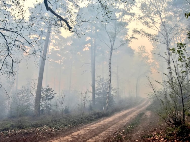 The blaze at Ash Ranges is believed to be the first major wildfire of 2022 on Surrey and Hampshire’s commons