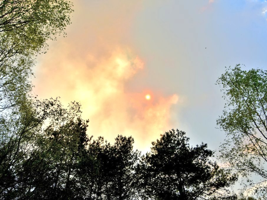 The blaze at Ash Ranges is believed to be the first major wildfire of 2022 on Surrey and Hampshire’s commons