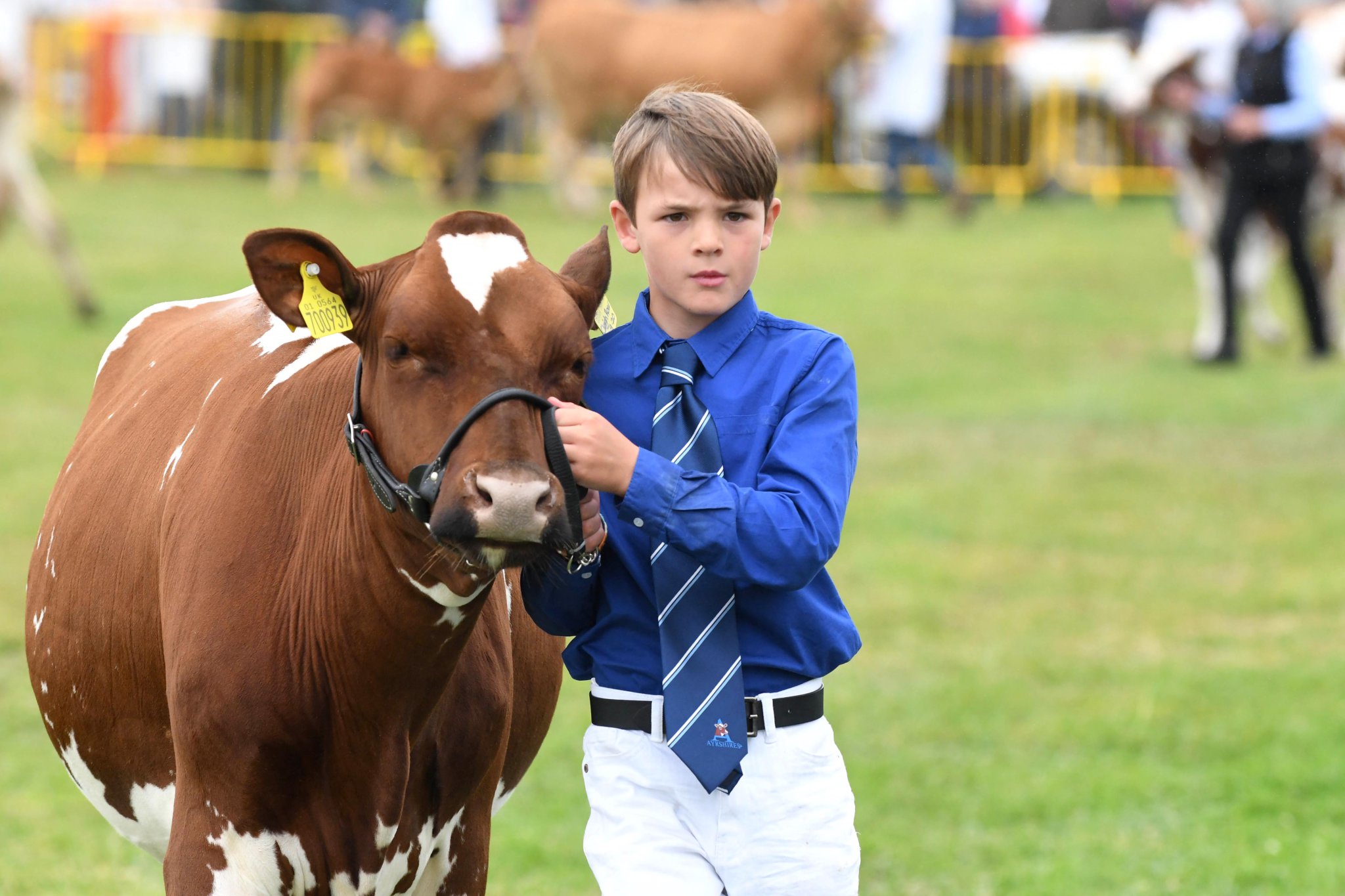 The 2021 Southern District Agricultural Show - Elias Parry (9)