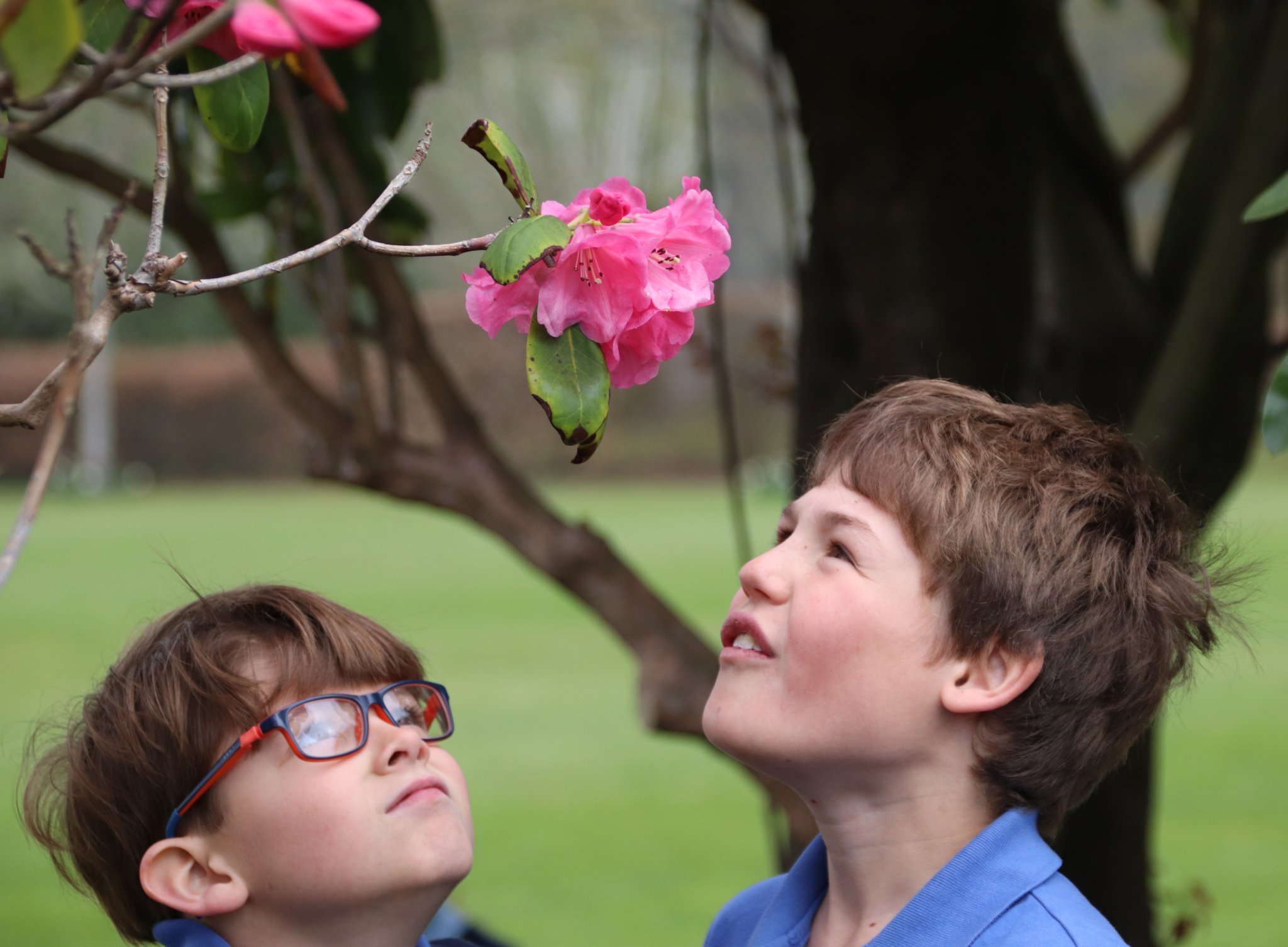 Pupils mull over the consequences of a world without bees