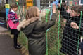 Fencing spreads a green message
