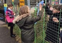 Fencing spreads a green message
