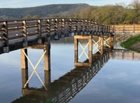 New bridge enables peopleto enjoy wetlands and trail