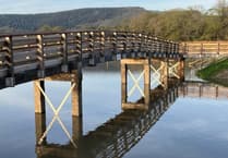 New Calstock footbridge enables people to enjoy wetlands and Tamar Valley Discovery Trail