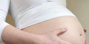 Hampshire teen pregnancy rates down 66%