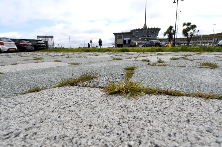 Weeds growing between new paving on Loch Promenade in Douglas -