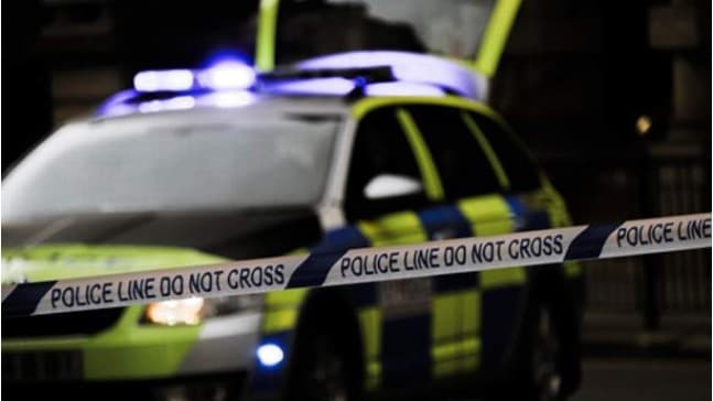 Police appeal for witnesses after fatal two-car crash on A31