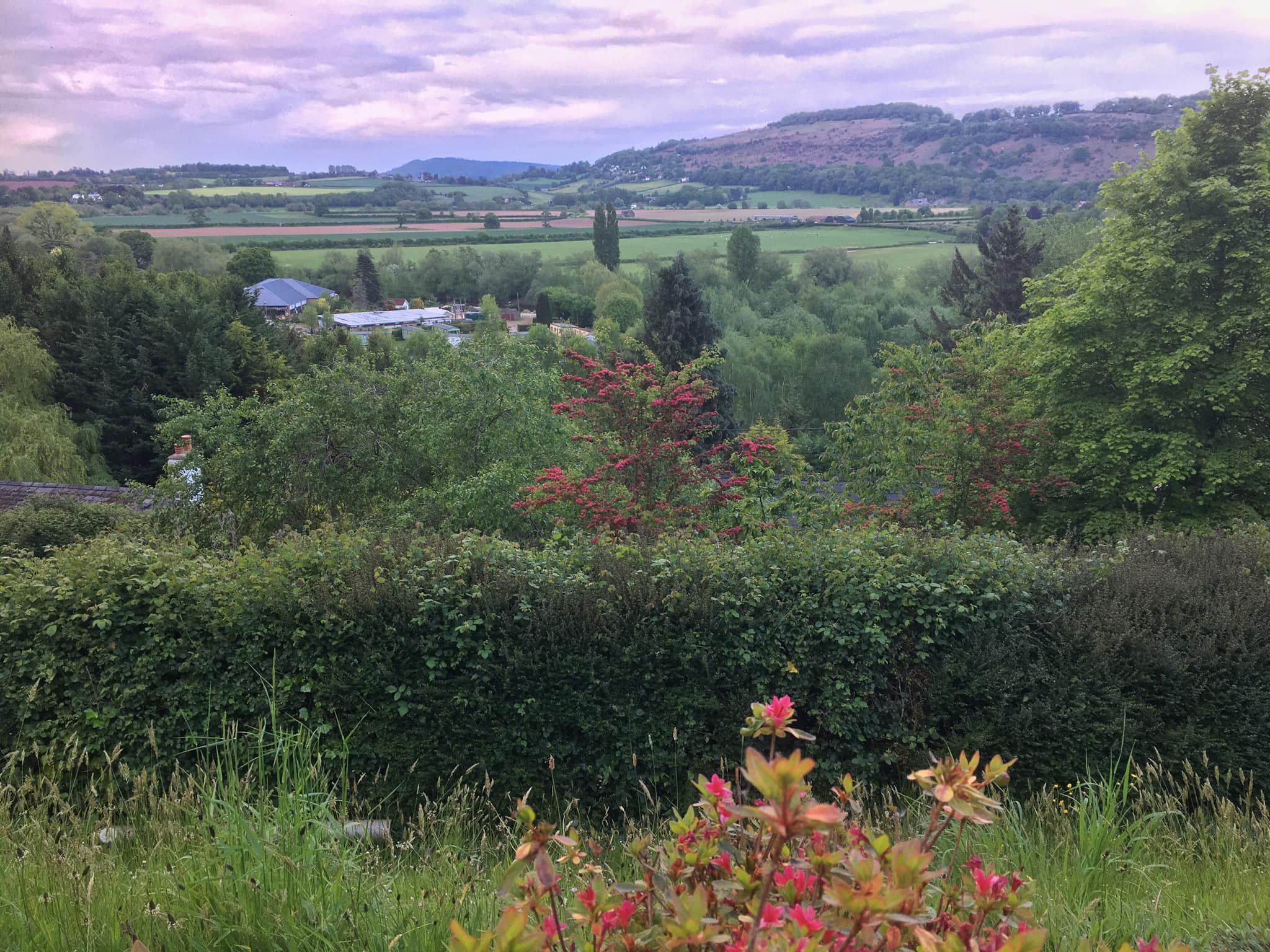 “View from my window this evening” by Joy Bowen.