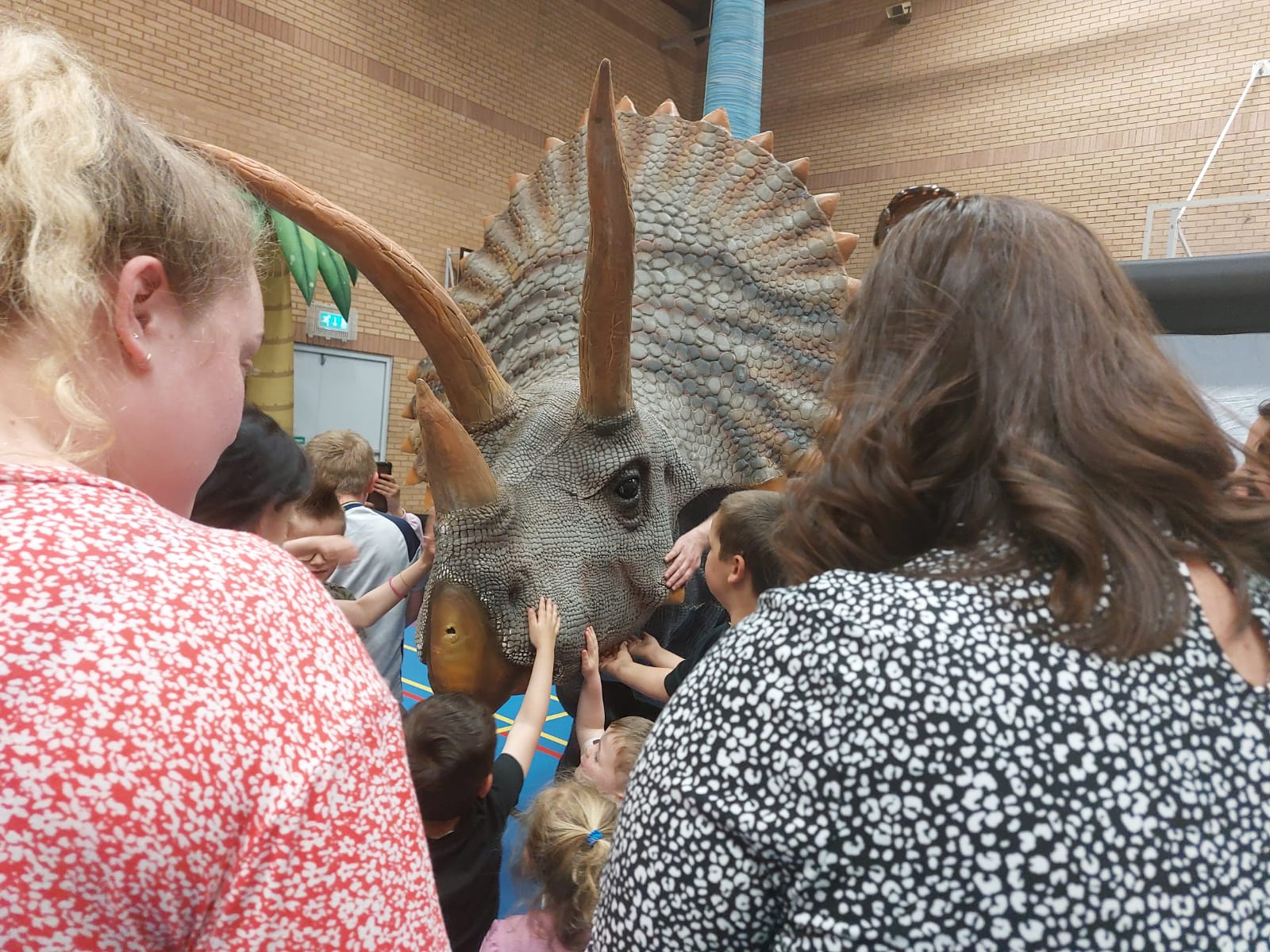 Brecon crowds enjoying meeting Milly