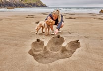 REX ON THE BEACH! Dinosaur footprints appear for launch of TV Series