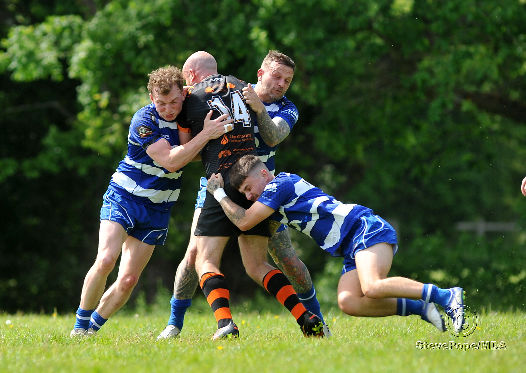 Action from the season-opening clash between Devon Sharks and Torfaen Tigers on Saturday.