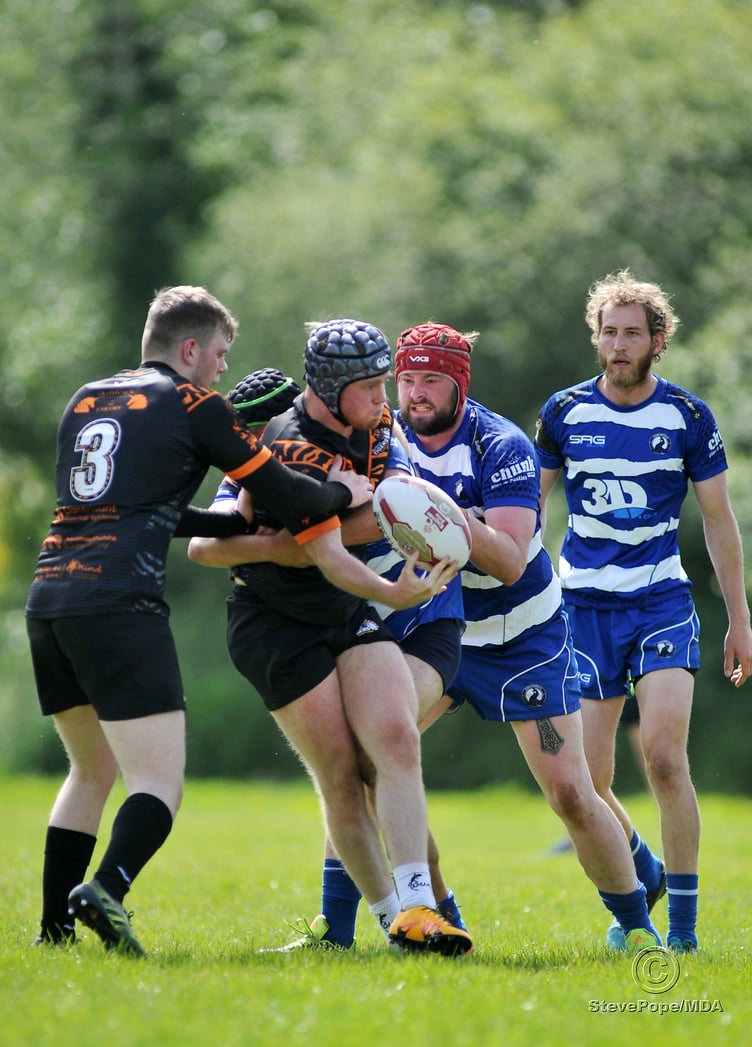 Action from the season-opening clash between Devon Sharks and Torfaen Tigers on Saturday.
