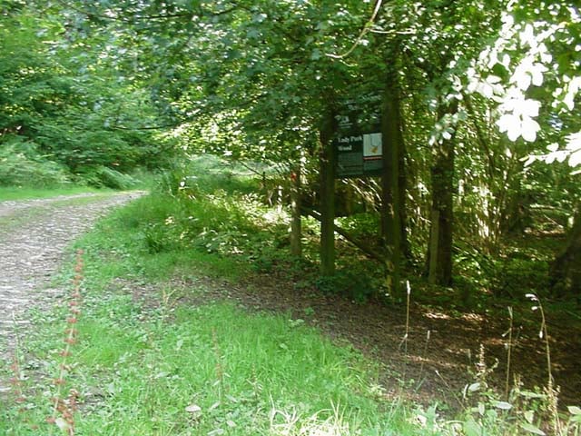 Council grants boost for projects in parish