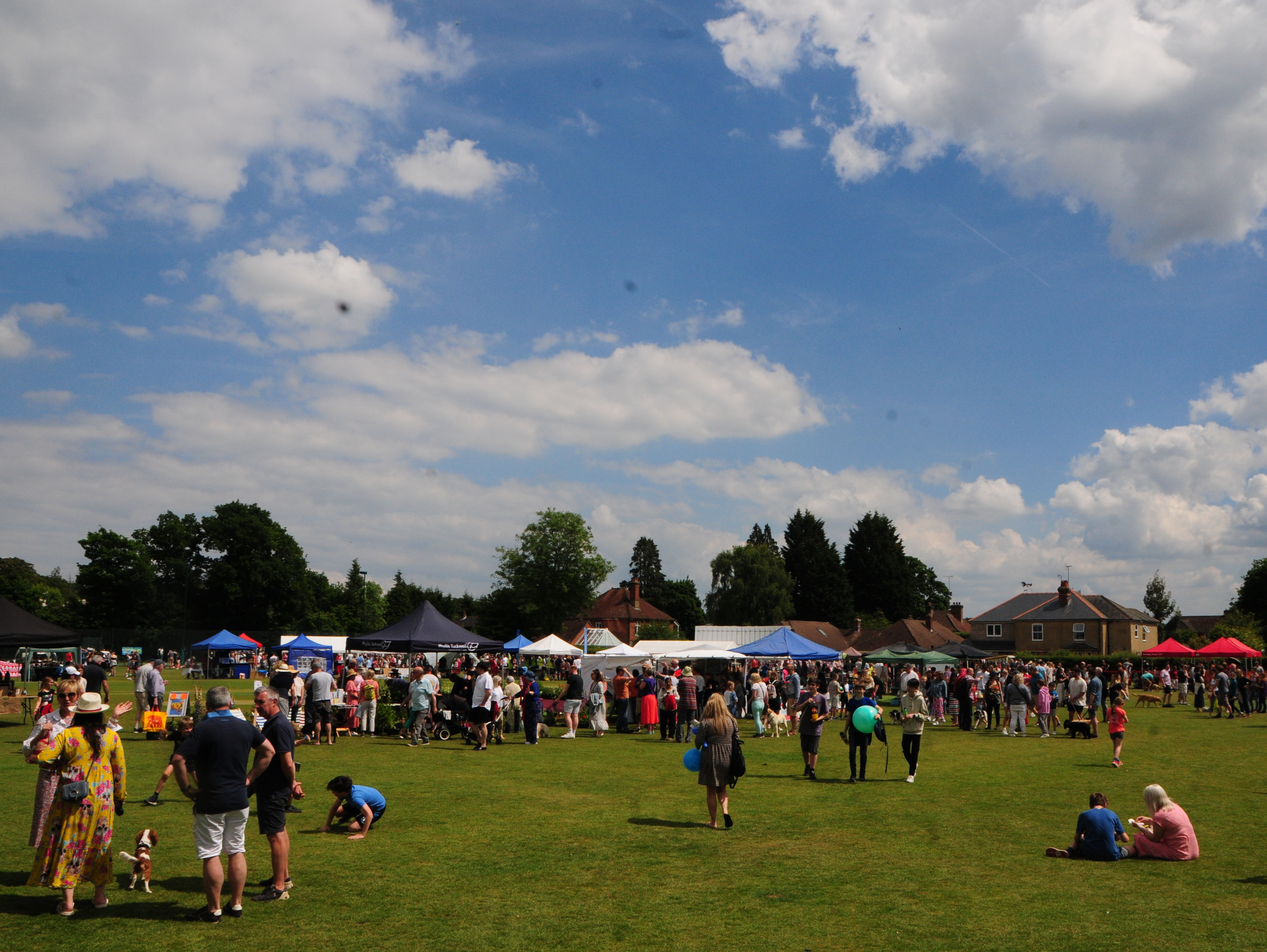 Jubilee: Rowledge Village Fayre kicks off the bank holiday weekend