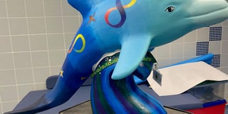 Big Splash dolphin design celebrates neurodiversity