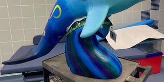 Big Splash dolphin design celebrates neurodiversity