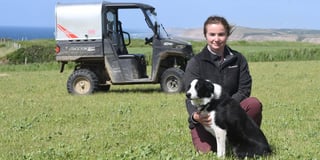 How learning can help farms face challenges