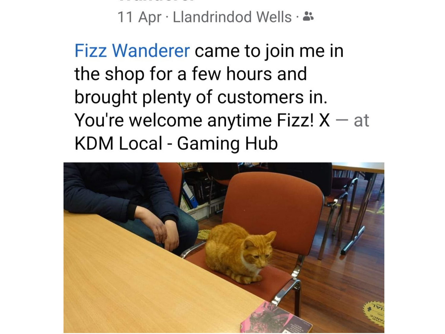 Fizz enjoying himself at the Gaming Hub