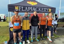 Wayfarers drop into relegation scrap