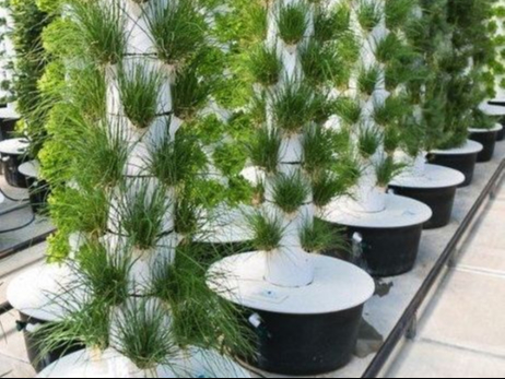 Aeroponic farming