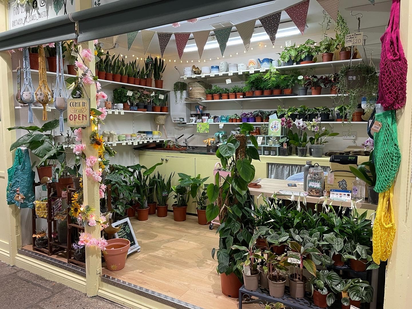 TOP: Ellie with her houseplant stall in Tavistock Pannier Market and pictured with market reeve Duane Carruthers on ‘The Vegetable Patch’ stall.