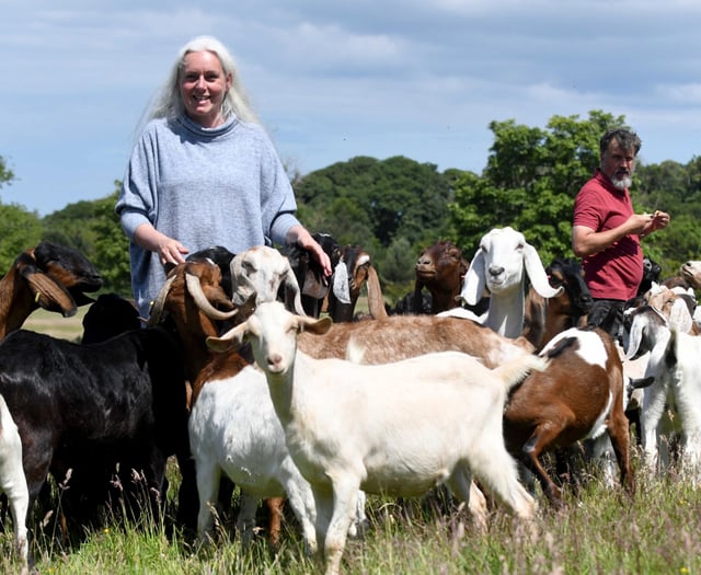 New regime at goat farm proves ‘life changing’