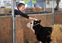 Something for everyone at the Devon County Show