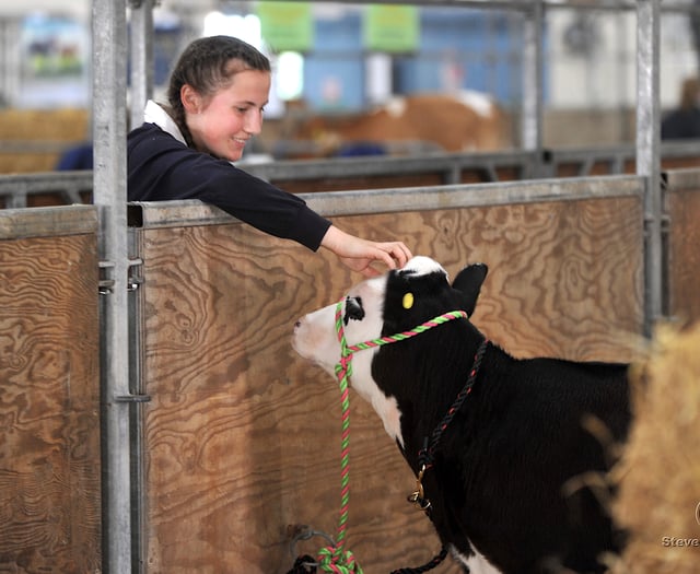 Something for everyone at the Devon County Show