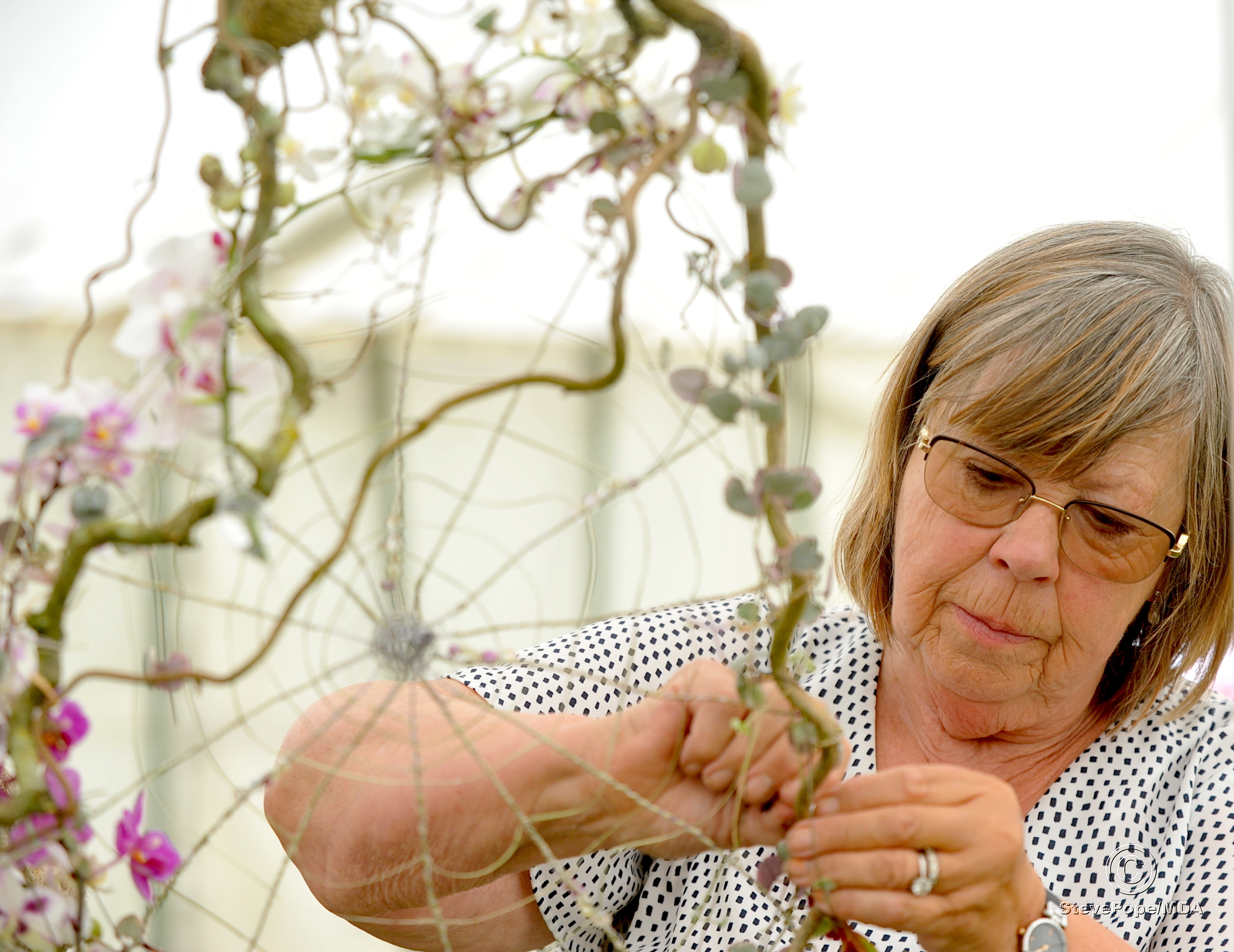 A tangled web is woven in the flower marquee by Julie Tweedie from Combeinteignhead . Julie is a member of the Club on the Exe flower club