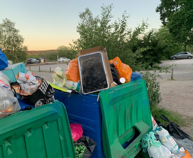 Frensham Great Pond is ‘not yours’, hit back Londoners in litter row