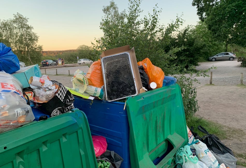 MyLondon says litter, blocked roads and illegal barbecues have been ‘reported’ – here is the proof...