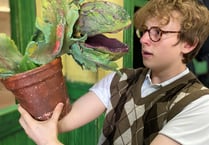 Weydon musical ‘Little Shop of Horrors’ opens to the public next week