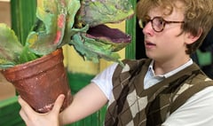 Weydon musical ‘Little Shop of Horrors’ opens to the public next week