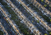 Most expensive, busiest and trendiest parts of Waverley to buy a house revealed