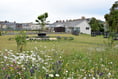 First look at biodiversity garden ‘like no other’ in Aber