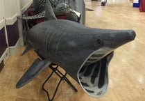 An exhibition of life-size whale and dolphin models