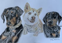 Artist aims to grow pet portait business