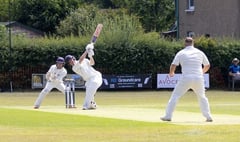 Rowledge Cricket Club’s unbeaten run ends with Basingstoke defeat